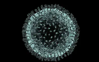 Coronavirus Impact on Table Tennis Coronavirus Impact on Table Tennis