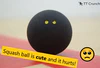 /images/featured-post/squash-ball-cute.jpg