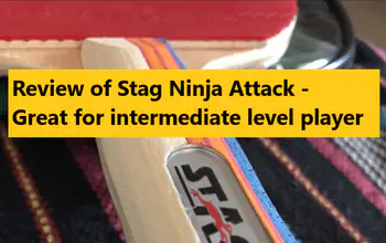 Review of Stag Ninja Attack - Great for Intermediate Level Players