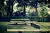 Difference between Table Tennis and Lawn Tennis