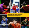 /images/featured-post/upcoming_sensations.png
